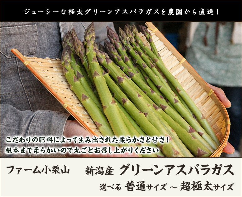 楽天市場】新潟産 グリーンアスパラガス 1kg 選べる 普通サイズ