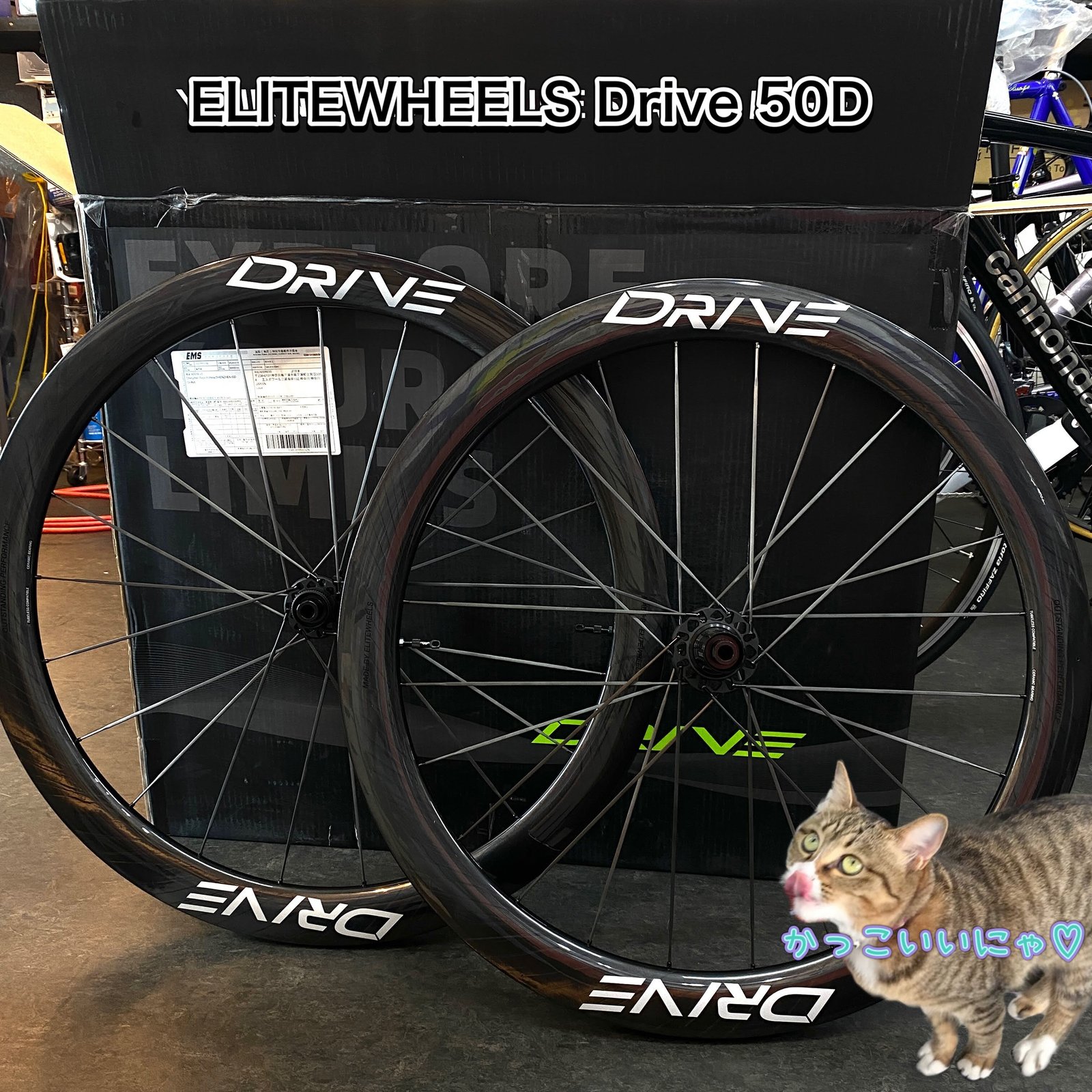 ELITEWHEELS（エリートホイール）Drive 50D ディスクブレーキ 前後