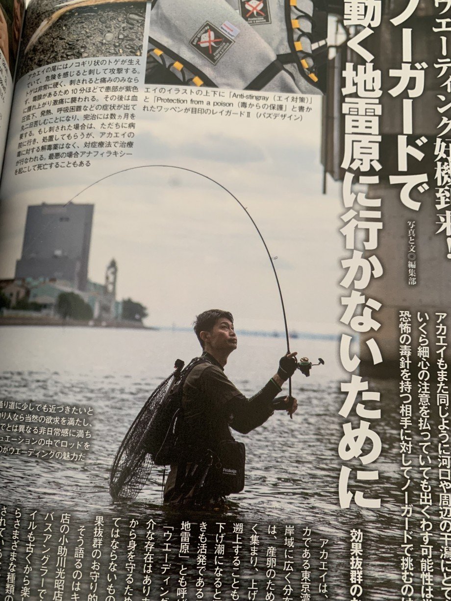 再掲載】レイガードⅡ(エイガード)について！！ – Pazdesign Staff blog