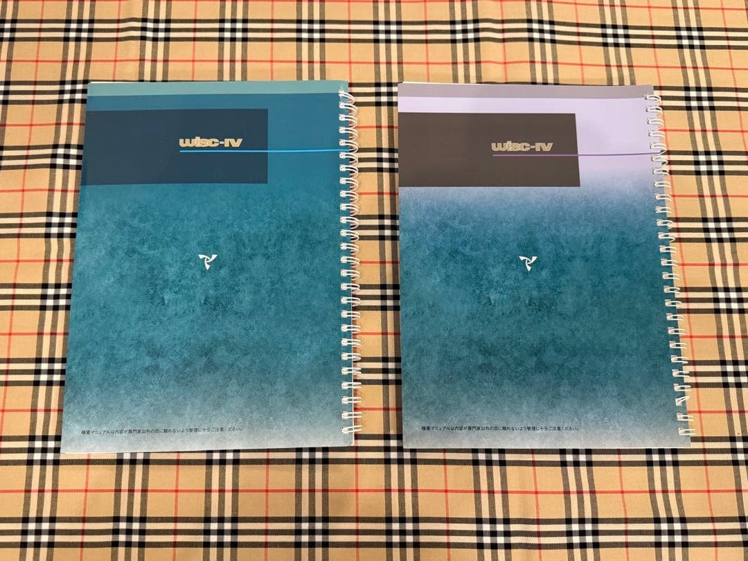 WISC-IV 理論・解釈・実施マニュアルセット